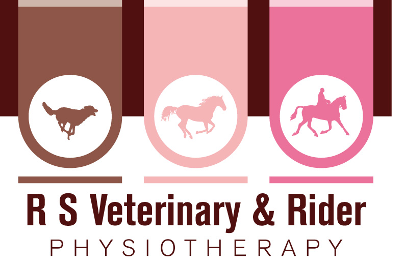 R S Veterinary and Rider Physiotherapy                                                                                                                       Tel: 07914 822013 
